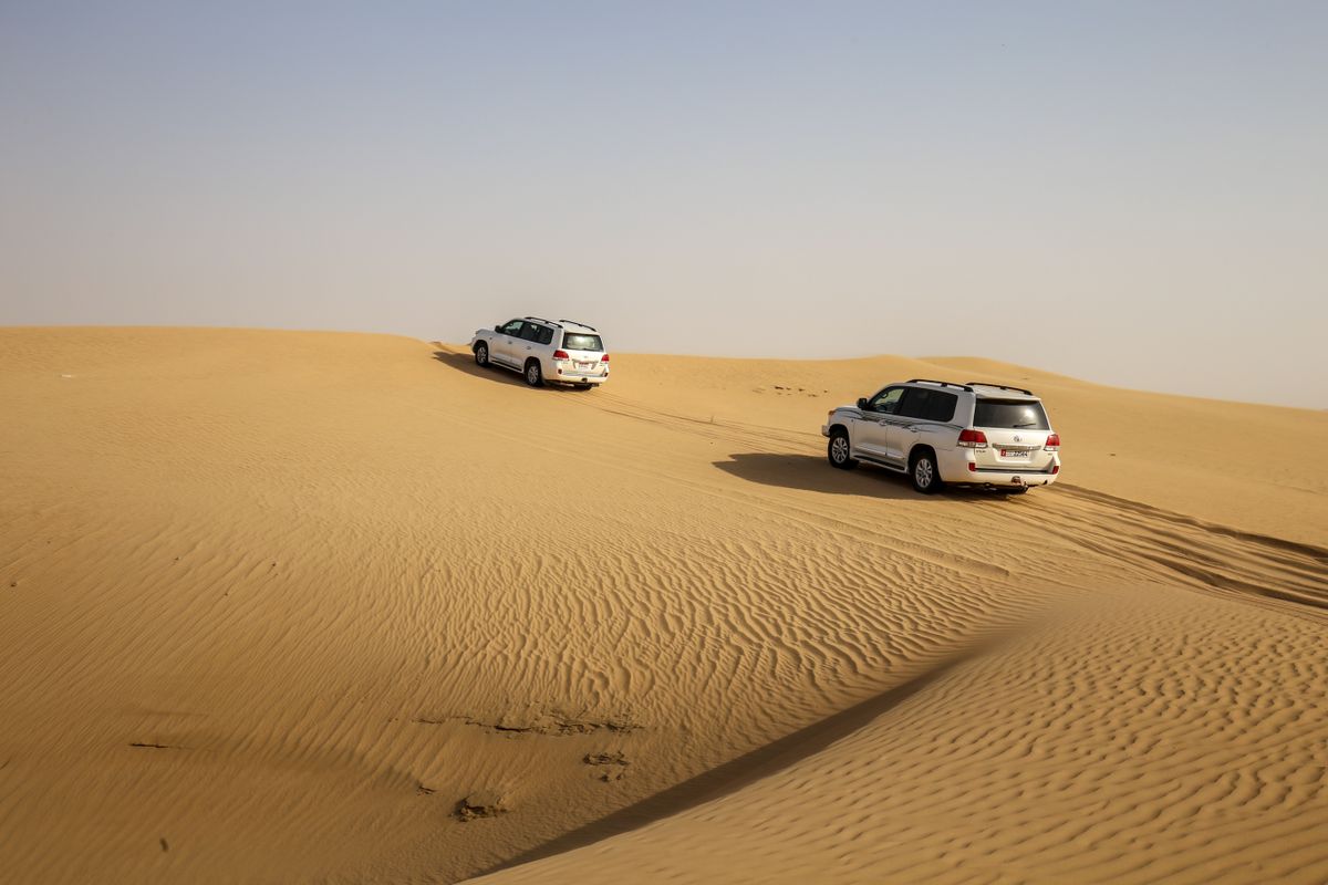 A self-drive convoy pausing on a dune crest at golden hour