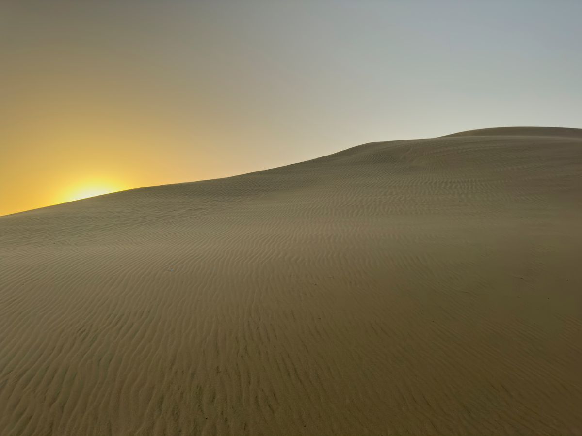 A wide desert plain in soft morning haze