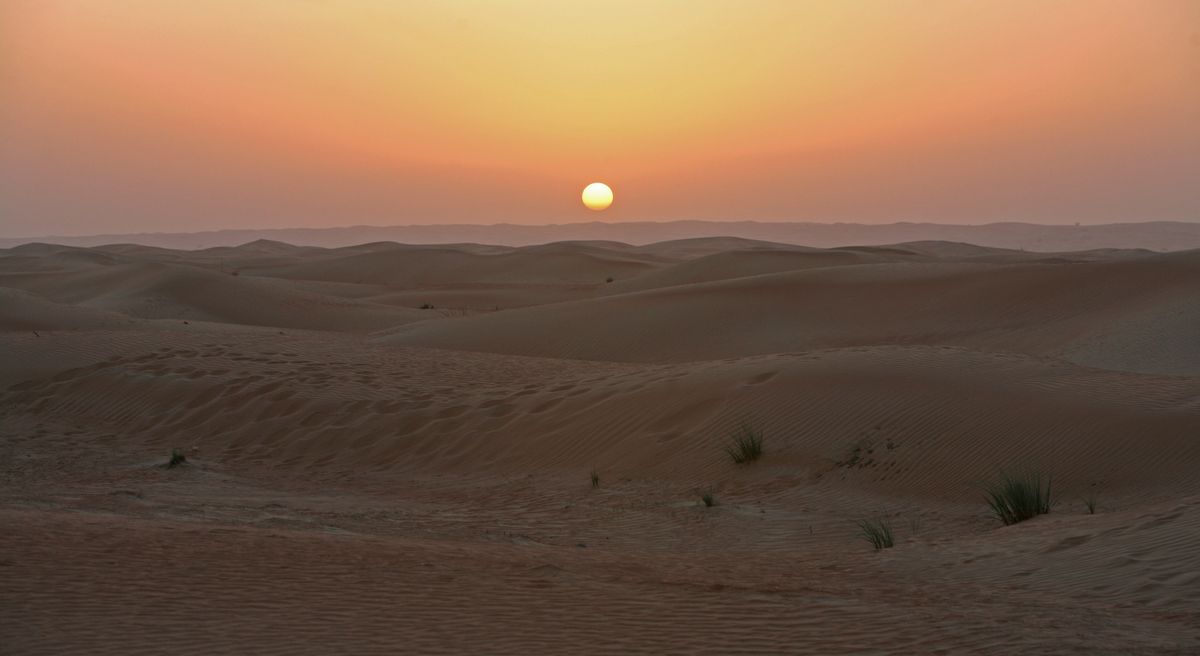 Long morning shadows across wind-rippled sand