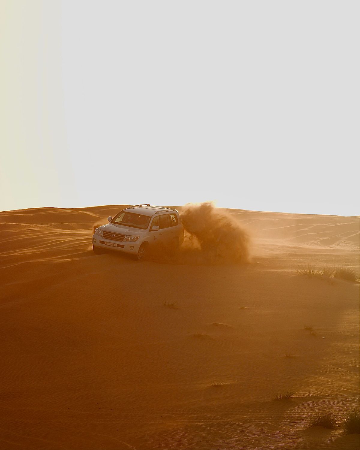 The white 4×4 heading home across the morning dunes