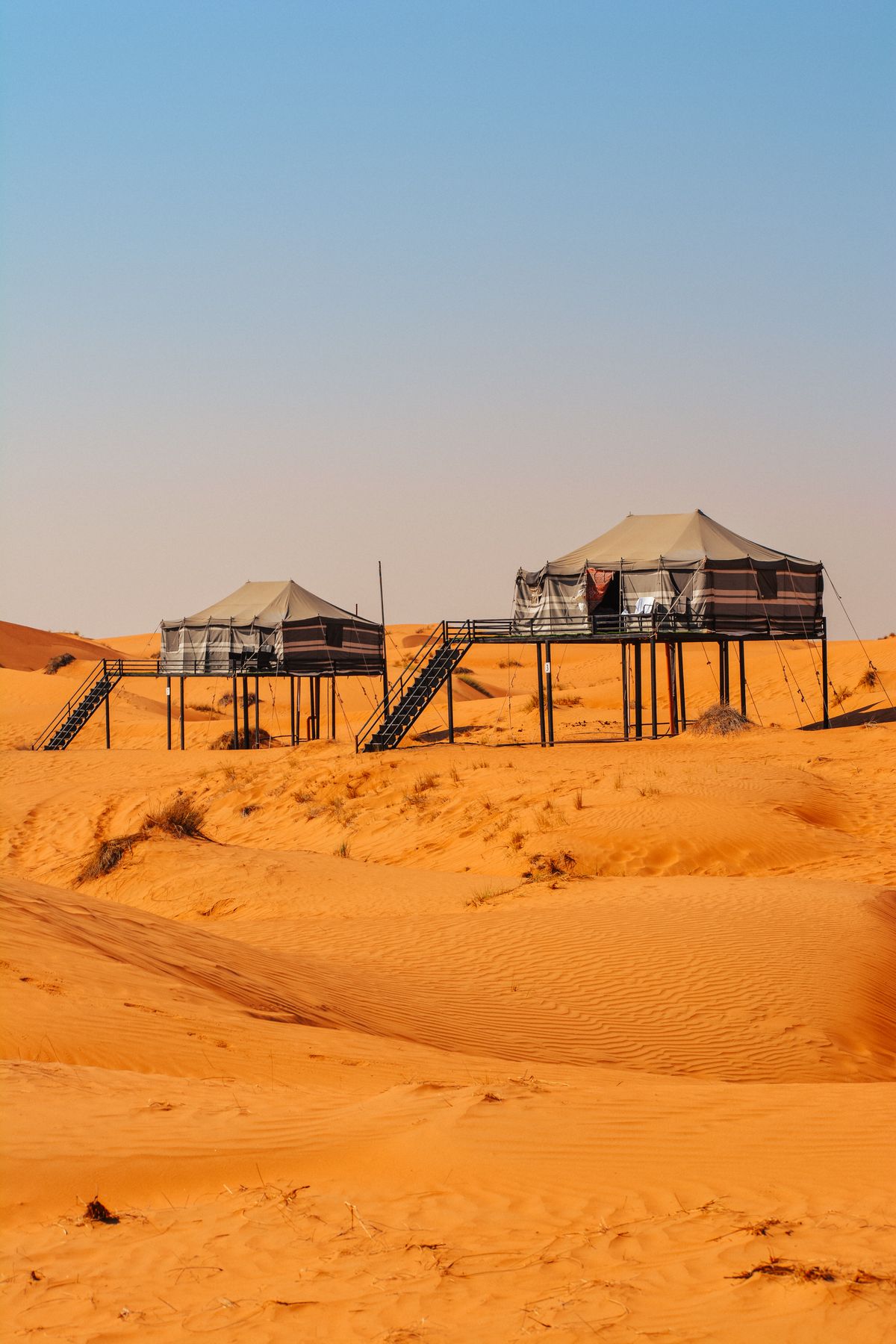 Luxury camp tents nested in golden dunes