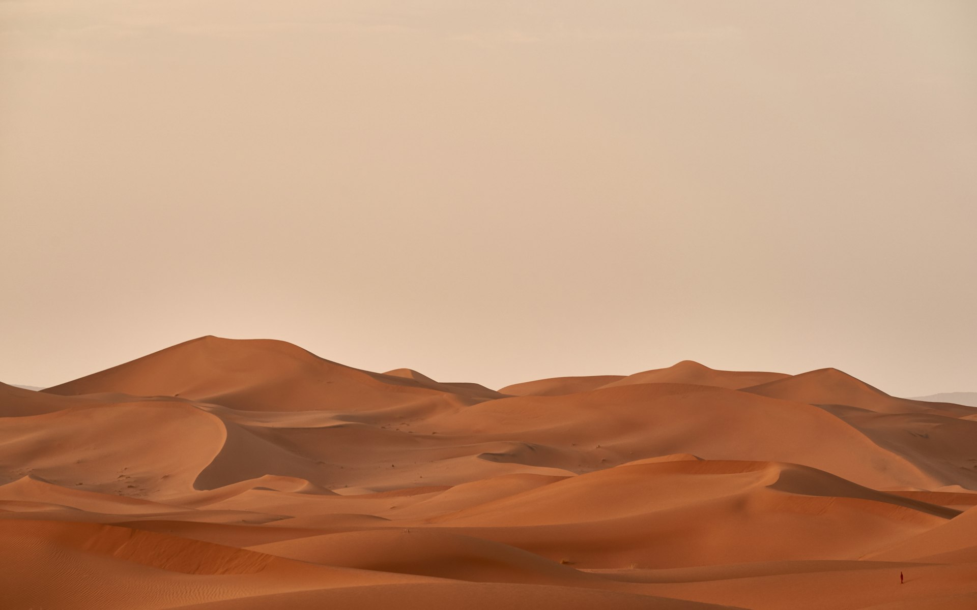 Soft, wind-rippled sand dunes fading into haze