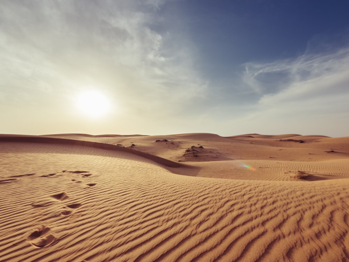 Golden sand dunes under a low evening sun