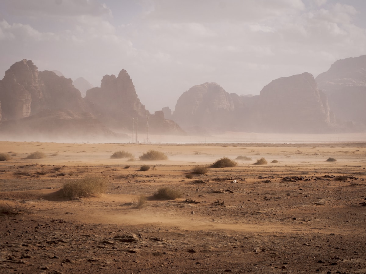 A wide desert plain in soft morning haze